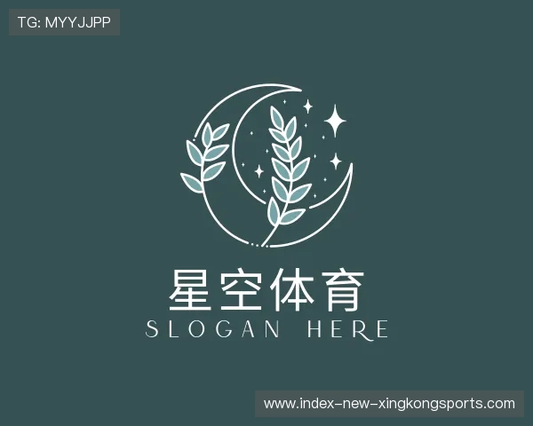 关于星空体育官网